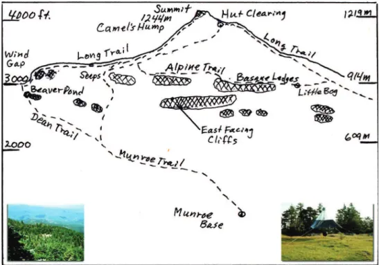 Table 1 summarizes samples collected by canopy trap and net sweeps mostly from  the Hut Clearing where hiking trails intersect on Camel’s Hump