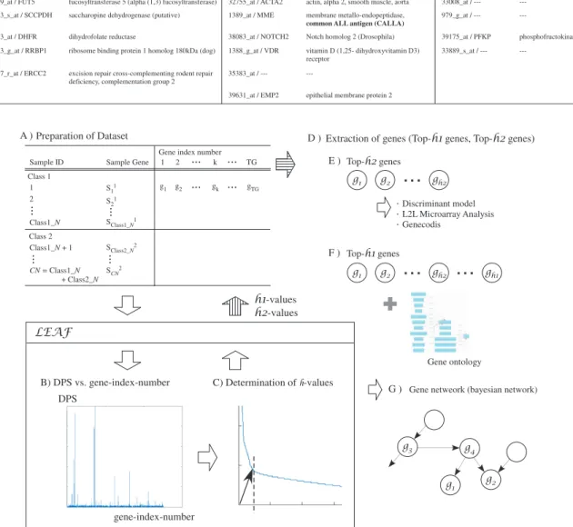 Fig. 5. Overview of the framework.