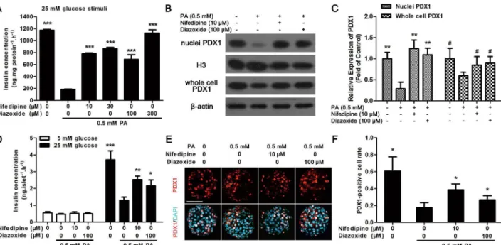 Fig 6. Nifedipine and diazoxide protected against PA-induced impairment of GSIS in pancreatic beta cells