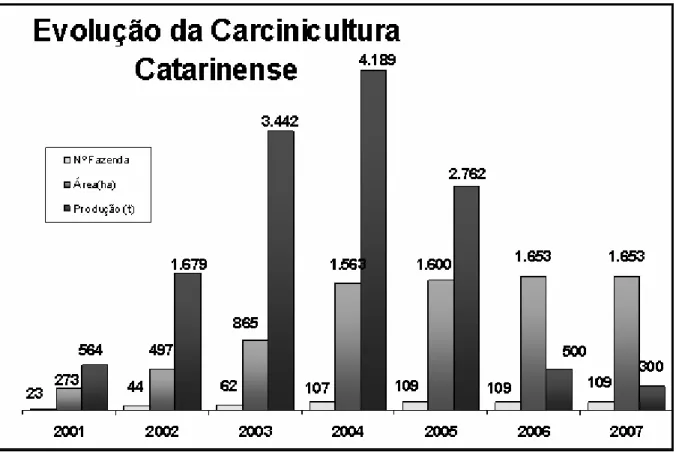 Gráfico 1 - Evolução da Carcinicultura Catarinense   Fonte: Epagri/Cedap (2007). 