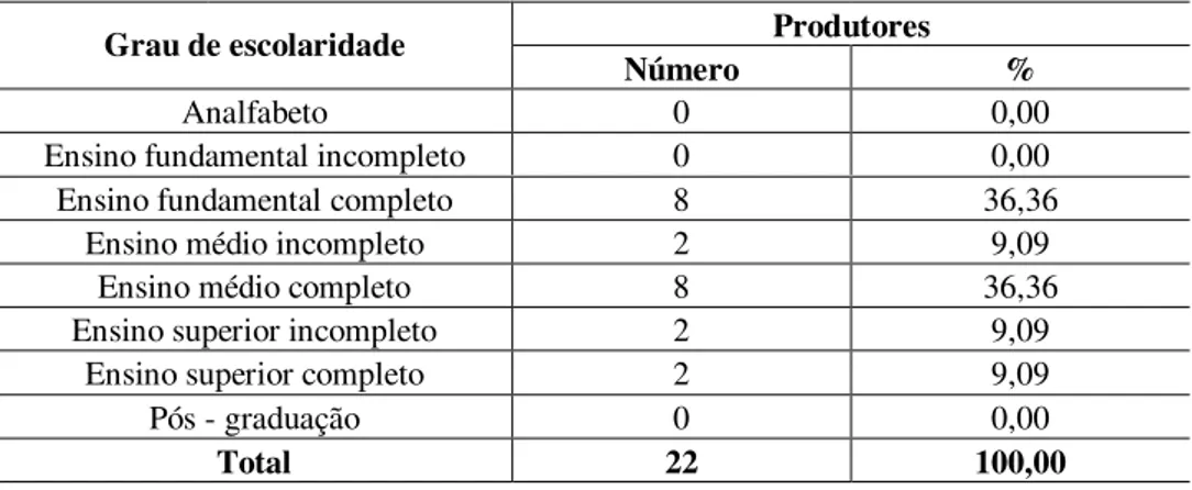 Tabela 4 – Região sul  - Grau de escolaridade dos produtores   Produtores  Grau de escolaridade  