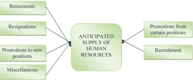 Fig. no. 2 Anticipated Supply of Human Resources in an Organization 