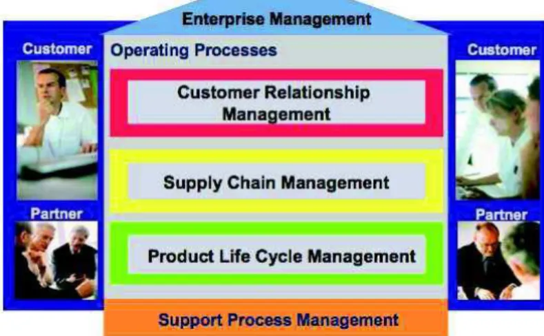 Figure 1. The organization of the processes in the Siemens Medical Solutions enterprise 