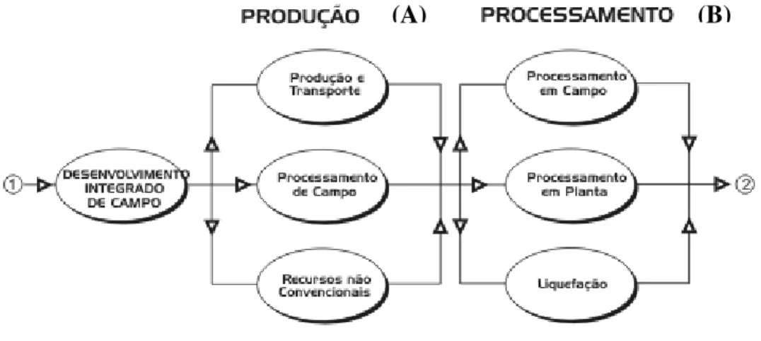 Figura 6: Processo de produção e processamento 