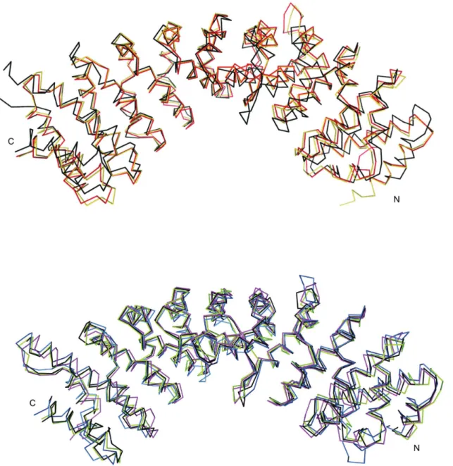 Fig 5. Comparison among Impα crystal structures from different organisms. The Impα proteins were superimposed using the Cα atoms of each protein (residues 83 -505) (a) NcImpα, MmImpα (PDB ID: 3UL1) and HsImpα1 (PDB ID: 4WV6) are represented in black, red a