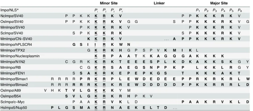 Table 2. Binding to specific pockets of Impα/NLS structures from different organisms.