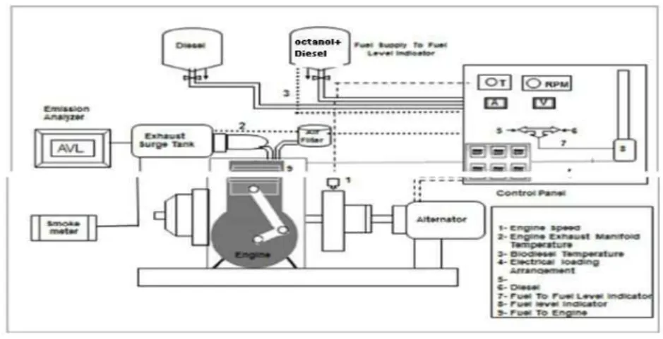 Figure 1. Schematic Diagram of the Experimental Set Up