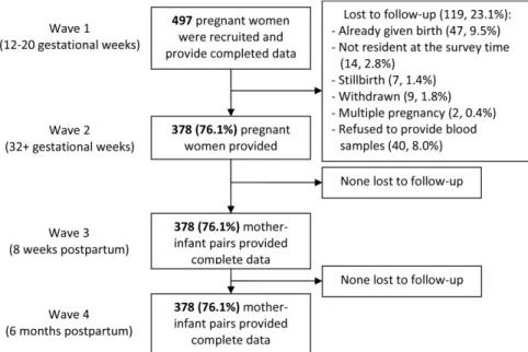 Figure 3 shows that persistent antenatal IDA, antenatal CMD in either early or late pregnancy, and infant WAZ at 8 weeks of age had direct effects on infant BSID composite scores at 6 months of age