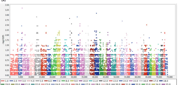 Figure 4. Genome-wide association analysis for Comma defect. The analysis included three cases and seven controls genotyped on the Canine HD BeadChip