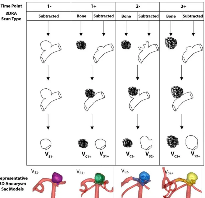 Fig 1. Schematic illustration of the image processing protocol. ‘1- ‘ indicates the pre-first coiling treatment time point; ‘1+’, post-first coiling treatment time point; ‘2-’, pre-second coiling treatment time point; ‘2+’, post-second coiling treatment ti