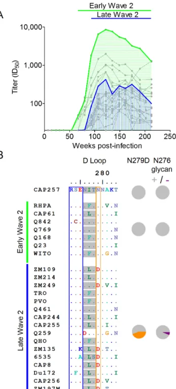 Figure 7. Maturation of the wave 2 CD4bs response results in the increased neutralization breadth of CAP257 plasma