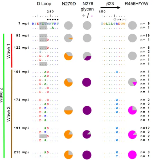 Figure 4. Accumulating escape mutations from wave 2 broadly neutralizing antibodies occur in the CD4 binding site