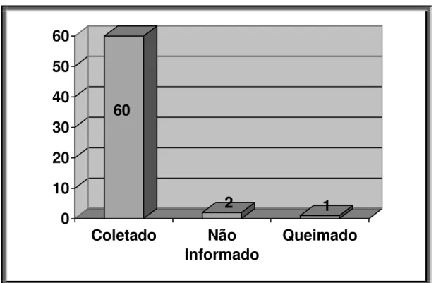 Gráfico 10 - Destino do lixo 