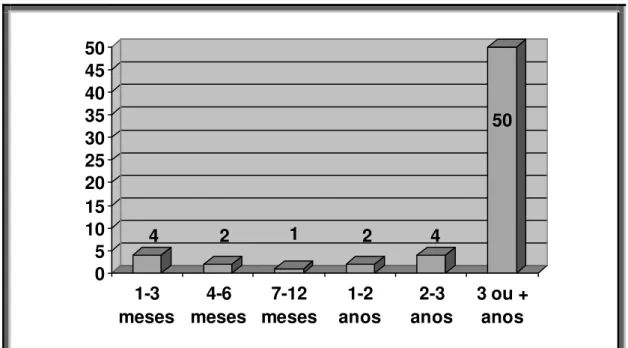 Gráfico 11 - Tempo de moradia 