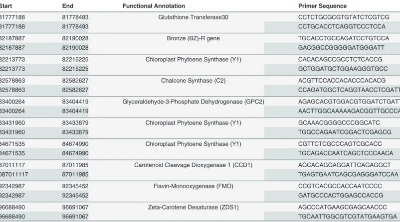 Table 7. Primer sequences used for qGLS1.04 CML228 expression tests.