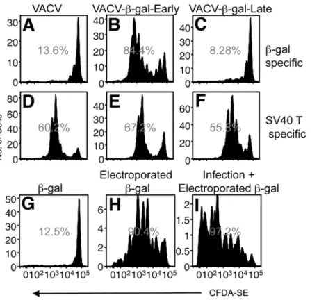 Figure 5. VACV infection does not inhibit the cross presentation of cellular antigen. Proliferation of adoptively transferred CFDA-SE labeled b-gal-specific (A–C) or SV40 TAg Site I-specific (D–F) TCR transgenic T CD8+ was measured following immunization w