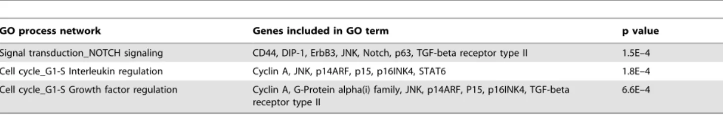 Table 2. Functional annotational clustering of genes enriched in NT2.D1 neurospheres following treatment with VPA.