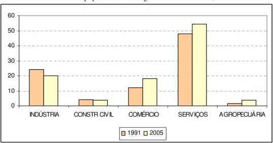 Gráfico 5 - Participação dos PFT nos grandes setores. Brasil, 1991/2005 