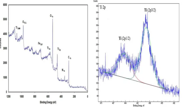 Table I. Thermal spray parameters of TiO 2  coatings. 