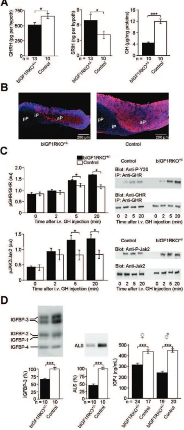 Figure S3), clearly indicating that cells were receiving less than wild-type IGF-I stimulation.