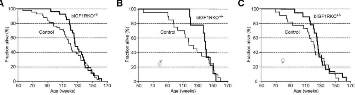 Figure 6. Lifespan Analysis