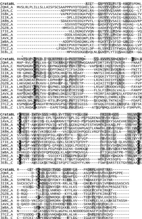 Figure 2. Similarity of CrataBL to others proteins. A comparison of the amino acid sequence of isoform I of CrataBL with the sequences of structurally similar proteins, as determined with the program Dali [39]