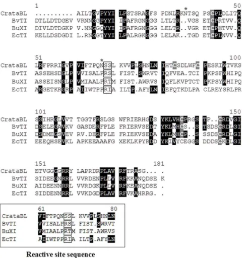 Figure 4. Similarity of CrataBL to protease inhibitors. A comparison of the amino acid sequence of isoform I of CrataBL with the sequences of BvTI – trypsin inhibitor purified from Bauhinia variegata; BuXI – inhibitor of factor Xa from Bauhinia ungulata; E