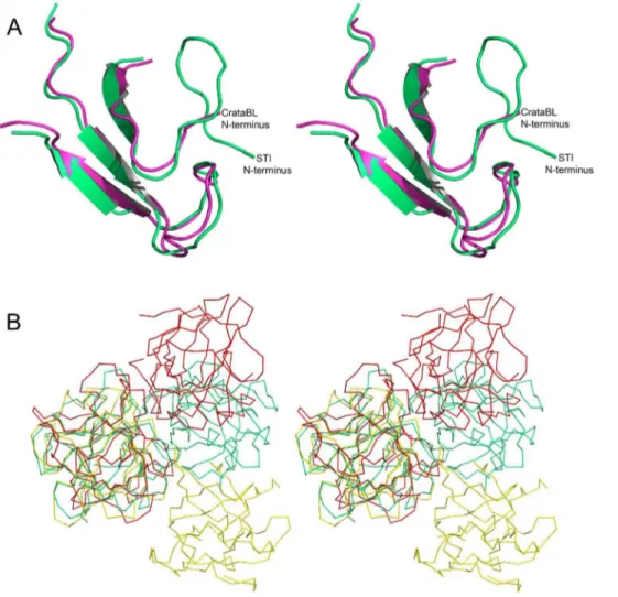 Figure 7. A comparison of CrataBL with proteins sharing the b-trefoil fold. (A) Superimposed regions of the N termini of CrataBL (green) and STI (magenta - PDB ID: 1AVW [44])