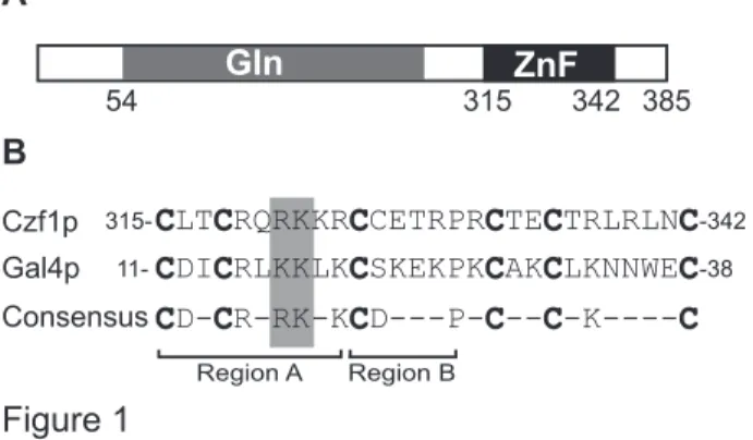 Figure 1. Conserved residues of Czf1p. (Panel A) Diagram of Czf1p.