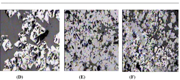 Fig. 14 The microscopic structure of iron ore sinter sample (D)  sample of the sinter used 3% 