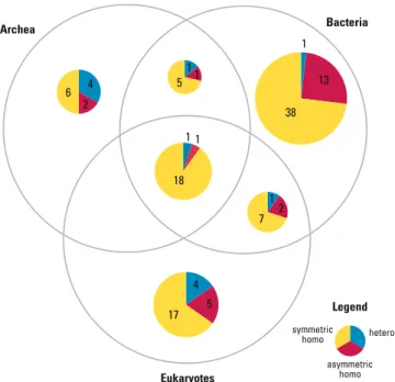 Figure S1. Probability Distribution of the Number of Distinct Face Types per Protein