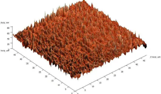Fig. 6. 3D topography and roughness profile of raw surface of the lithium disilicate glass ceramic