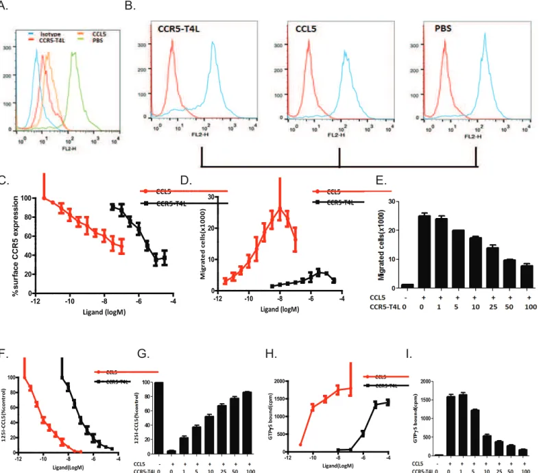 Fig 5. Recombinant CCR5-T4L down-regulates surface CCR5 expression in MDMs, and inhibits MDM migration and binding properties