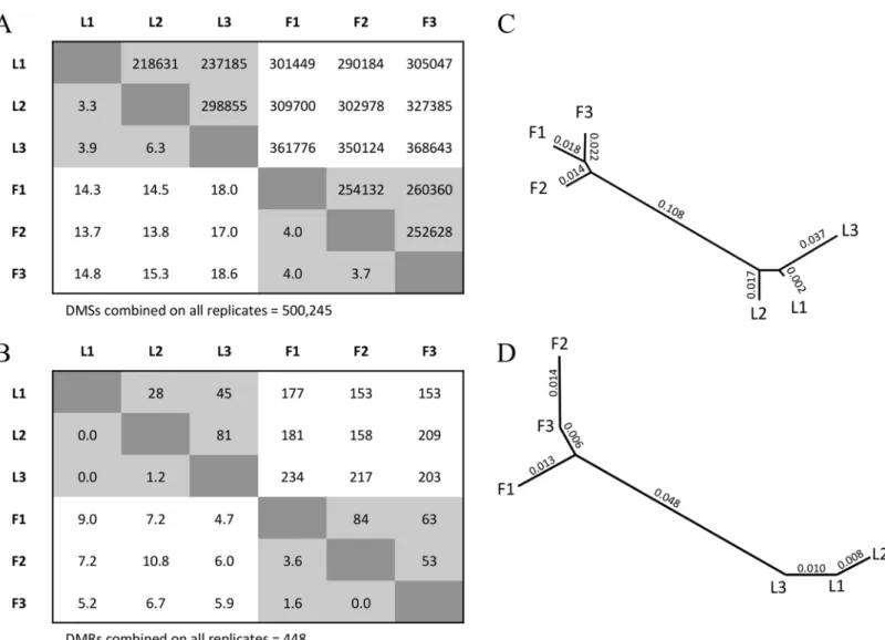 Fig 1. The inferred number of DMSs and DMRs between replicates. A) The upper matrix reports the number of DMSs between two BSseq replicates