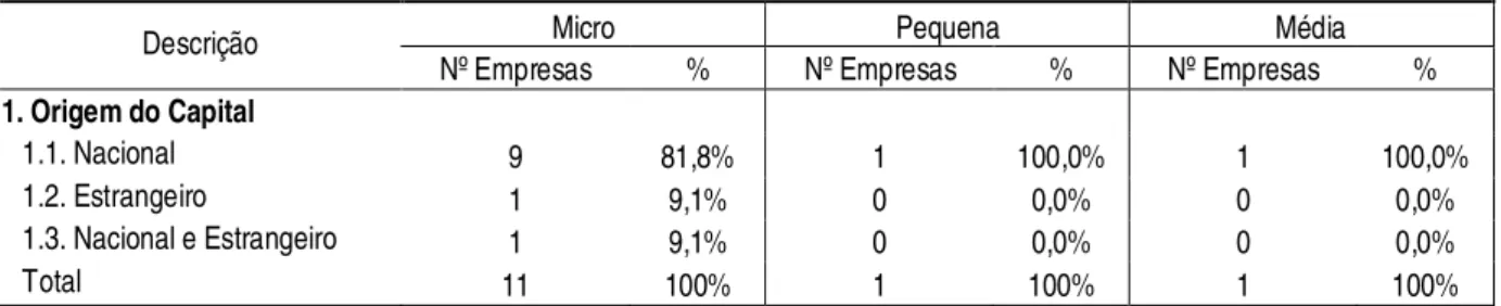 Tabela 9 - Origem do Capital 