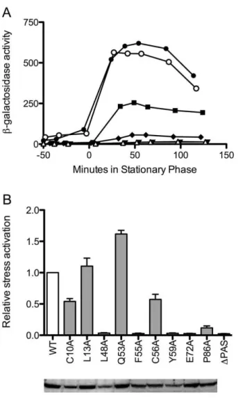 Fig 4B summarizes the results of multiple assays for each of the nine substitutions, expressed relative to wild type