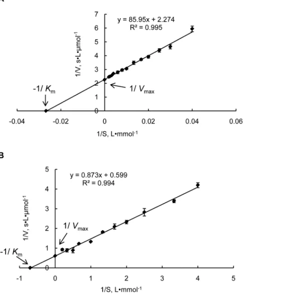 Figure 2. Lineweaver–Burk double reciprocal plots for the purified recombinant proteins GST-ProdhD21 and GST-P5CdhD45.