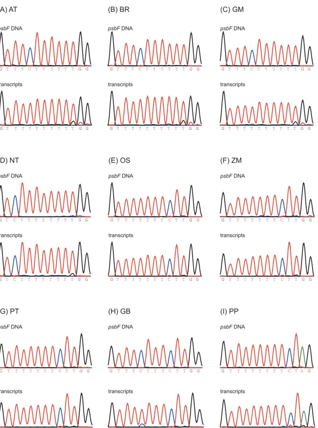 Fig 4. PsbF CP genome sequence and psbF transcript variation in main lineages of land plants