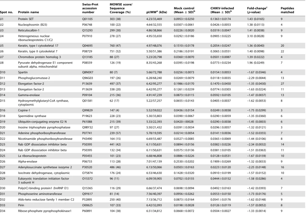 Table 1. List of differentially altered proteins in WLR-68 cells in response to CHIKV infection.