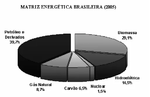 Gráfico 1: Matriz Energética Brasileira – 2005  Fonte MME, 2005. 