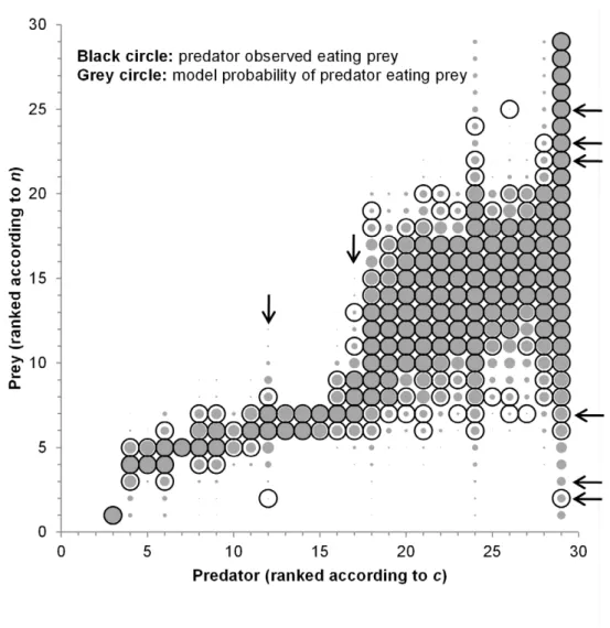 Figure 2. Probabilistic niche model results for the Benguela food web. Feeding links in the empirical data set and feeding probabilities in the probabilistic niche model for the maximum likelihood estimate (MLE) parameter set