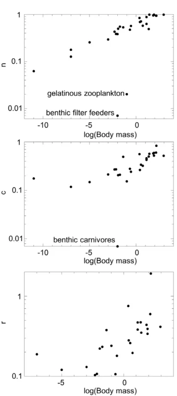 Figure 5. Relationships between maximum likelihood param- param-eters and body size. (a) Niche position n i (b) feeding range r i , and (c) centre of feeding range c i versus log(body mass) for the for the MLE parameter set of the probabilistic niche model