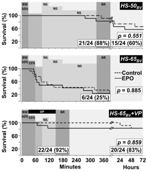 Figure 2. Survival curves comparing pigs treated with EPO and controls. Series HS-50 BV and HS-65 BV +VP include 72 hour survival