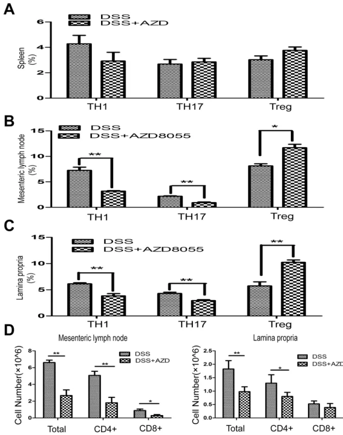 Fig 5. AZD8055 inhibits TH1 and TH17 cell polarization and expands Treg cell polarization in vivo