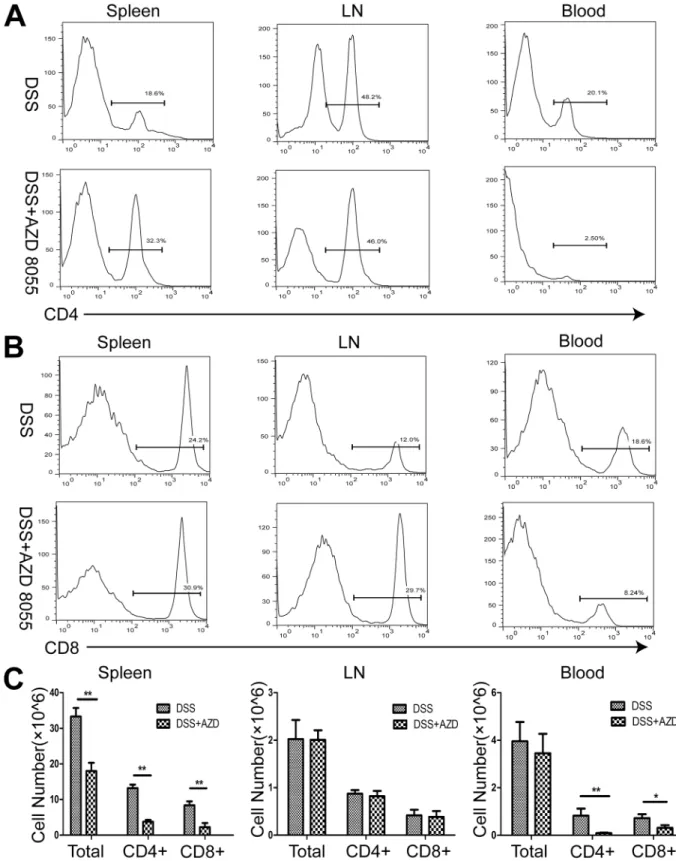 Fig 3. AZD8055 treatment leads to a decrease in the percentage of CD4+ T cells and CD8+ T cells in vivo