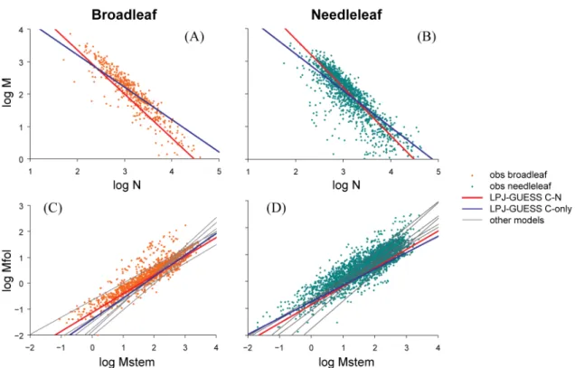 Fig. 5. Component biomass allometry for broadleaf-dominated (A, C) and needleleaf-dominated (B, D) grid cells from C–N and C-only simulations superimposed on data for forest stands from the Cannell (1982) and Usoltsev (2001) databases