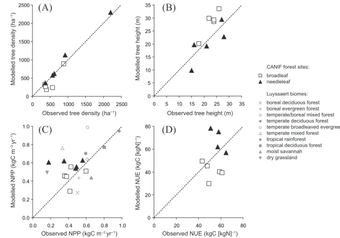 Fig. 3. Comparison of data on forest structure (A: tree density; B: height), (C) NPP and (D) N use efficiency (NPP per unit plant N uptake) for the CANIF European forest sites with simulation results from LPJ-GUESS