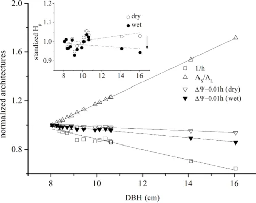 Figure 6. The normalized value of architectures including reciprocals of tree height (1/h), Hu- Hu-ber value (A S / A L ), the drivers of transpiration (∆Ψ−0.01h) and the hydraulic properties (H p ) of 15 trees normalized by the smallest tree among them fo