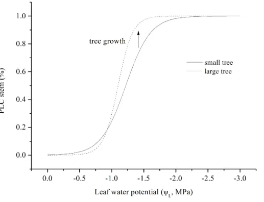 Figure 8. Percentage loss of hydraulic conductivity (PLC) as a function of xylem water potential (Ψ L ) for small (tree 1, DBH = 8.1 cm) and large (tree 15, DBH = 16.1 cm) E
