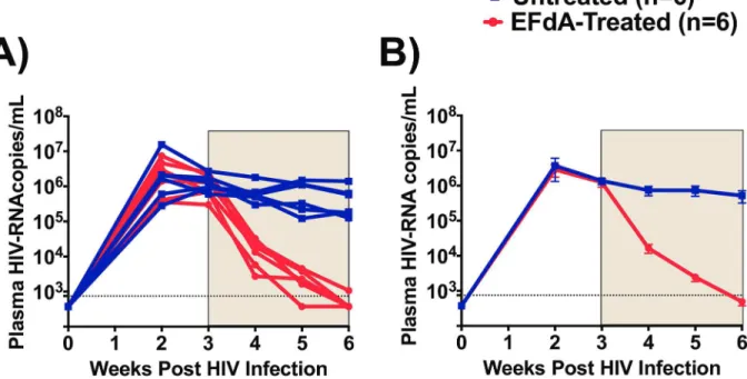 Fig 2. Effect of EFdA administration on the levels of plasma HIV-RNA. A) HIV-RNA levels in the plasma of EFdA-treated (n = 6, red lines) and untreated (n = 6, blue lines) mice